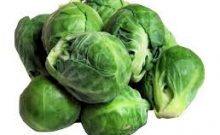 brussel sprouts